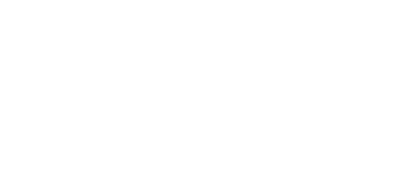 Black Mountain Enterprises logo in white