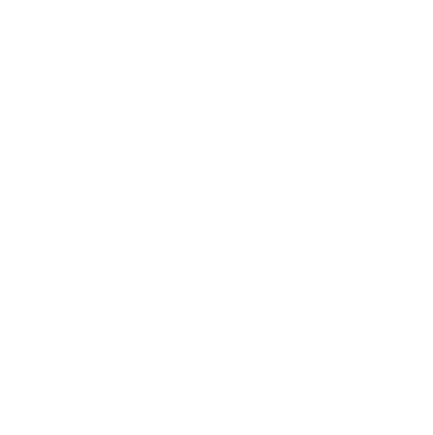 Black Mountain Painting logo in white